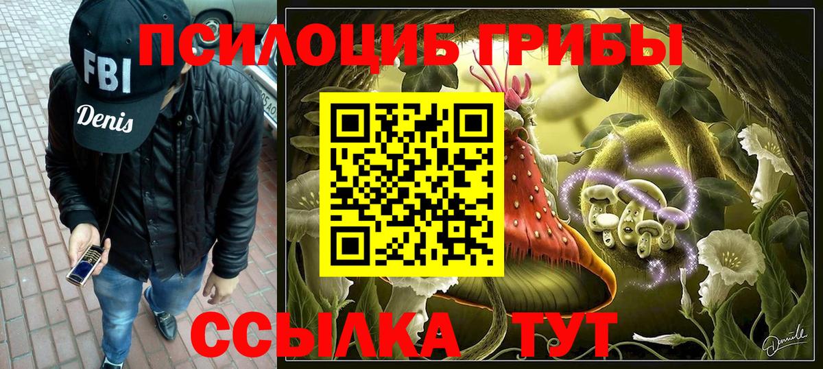 Псилоцибиновые грибы GOLDEN TEACHER  Вход с VPN  Дзержинск  Галлюциногенные грибы прущие грибы 